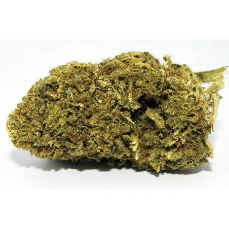 Freeze Kush CBD-Blüte (15%)