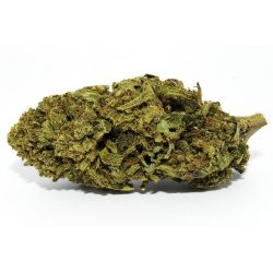 Honey Cream Indoor CBD Flower (21%)