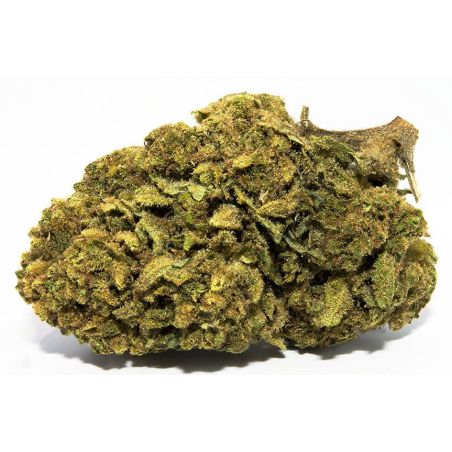 Mandarine Indoor CBD-Blüte (19%)