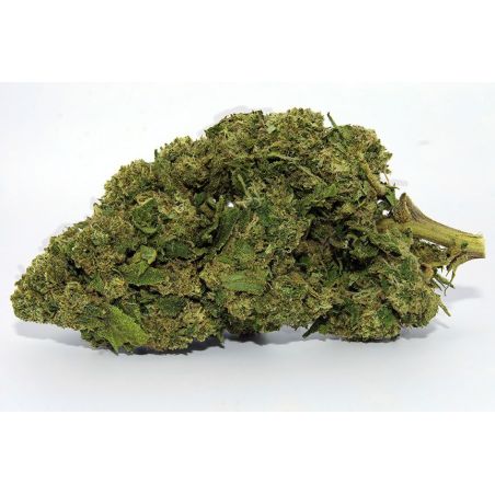 Fleur de CBD Mimosa Indoor (23%)