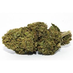 Orangello Indoor CBD-Blüte (18%)
