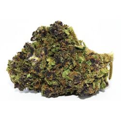Blume Cannabis CBD Purple Haze 20% | Indoor | 321CBD
