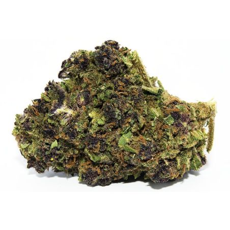 Fleur CBD Purple Haze Indoor (19,7 %)