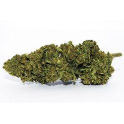 Budda Zen Indoor CBD Flower (19.5%)