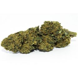 Watermelon Indoor CBD Flower (21%)