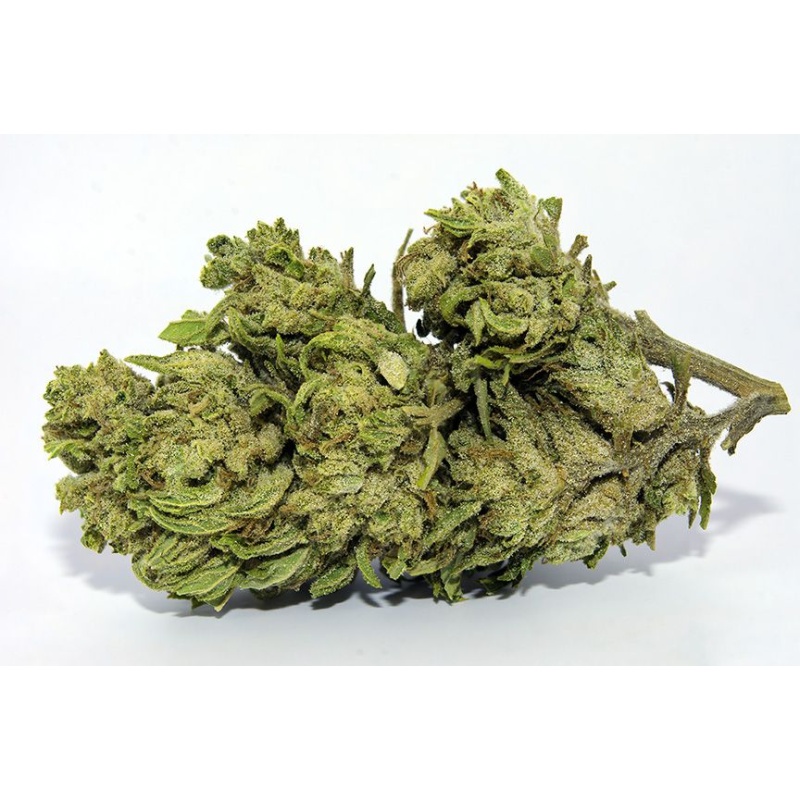 White Berry Indoor CBD-Blüte (19%)