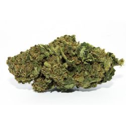 CBD Flower Bubble Gum Indoor (17%)