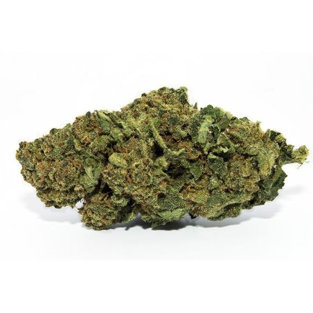 Fleur de CBD Bubble Gum Indoor (17 %)