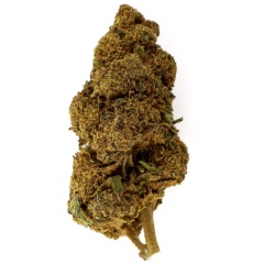 Ringo's Gift CBD-Blüte Indoor (24,7 %)