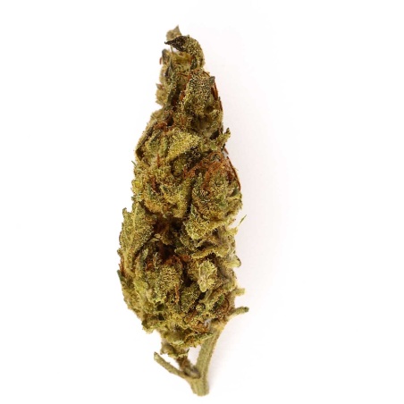 CBD Flower Lemon Haze Outdoor (9.7%)