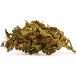 CBD Flower Lemon Haze Outdoor (9.7%)