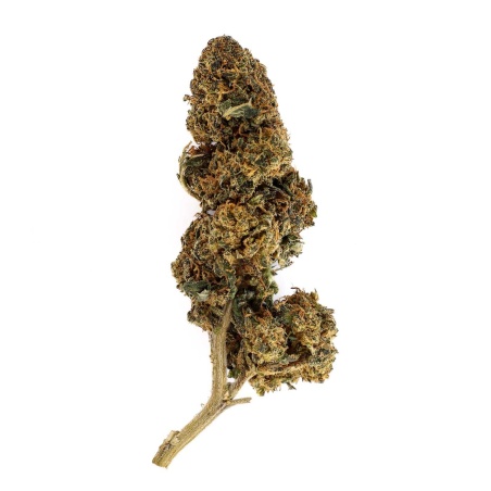 El Patron Indoor CBD-Blüte (22%)