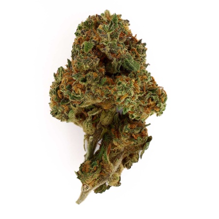 Fleur de CBD Tutti Frutti Indoor (16 %)