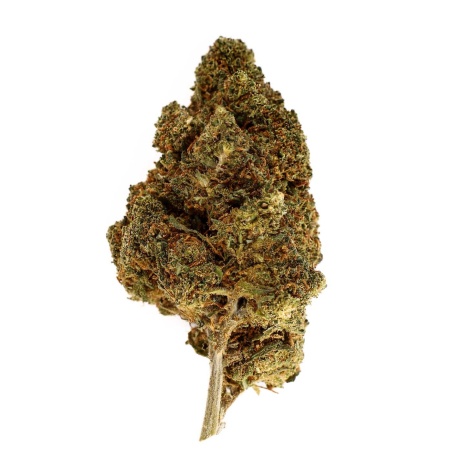 Fleur CBD White Berry Indoor 19 % | Beeren & Kiefer | 321CBD