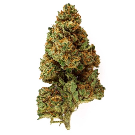 Flower of CBD Caramel Candy Indoor (15%)