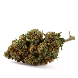 CBD-Blüte Royal Cookies Indoor (15,2%)