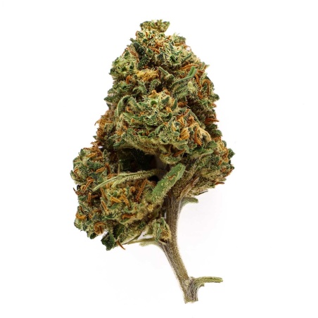 Flower of CBD Royal Cookies Indoor (15,2%)