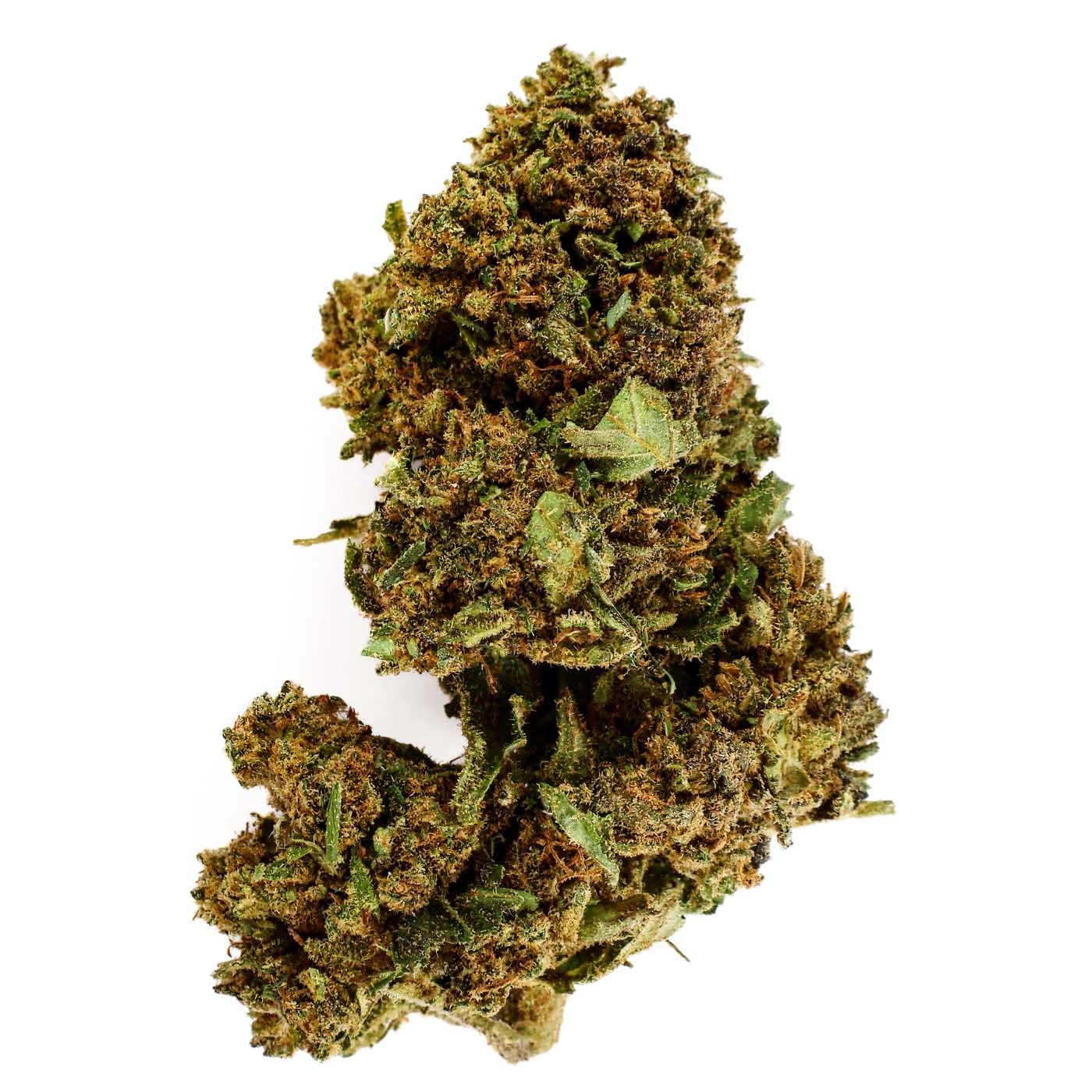 Fleur CBG Alpine White 9,5 % | Boisé & Sapin | 321CBD
