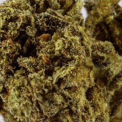 Fleur CBD Freeze Kush Indoor (15%)