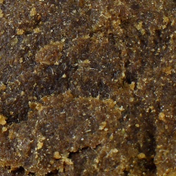 CBD Harz Amnesia Haze (20%)