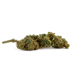 CBD Flower Sour Diesel Greenhouse (16.5%)