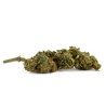 CBD Flower Sour Diesel Greenhouse (16.5%)