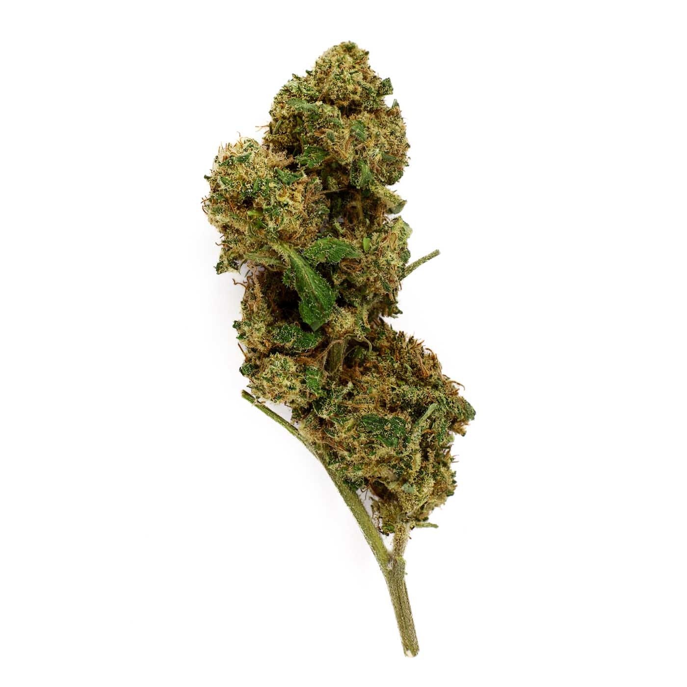 CBD Flower Sour Diesel Greenhouse (16.5%)