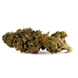 Fleur de CBD Watermelon Indoor (21%)