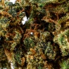 Fleur de CBD Watermelon Indoor (21%)