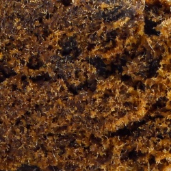 CBD Resin Black (18%)