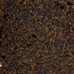 Résine CBD Charas (10%)