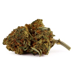 Fleur de CBD White Widow Greenhouse (14,1 %)