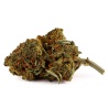 Fleur de CBD White Widow Greenhouse (14,1 %)