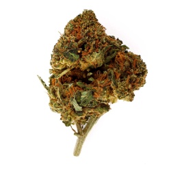 White Widow Greenhouse CBD flower (14.1%)