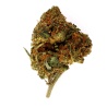 Fleur de CBD White Widow Greenhouse (14,1 %)