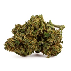 CBD Truth Flower (15,4%)