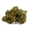 CBD Wahrheit Blume (15,4%)