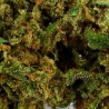 CBD Wahrheit Blume (15,4%)