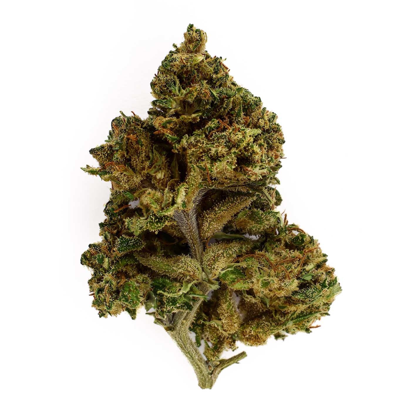 Fleur CBD Truth (15,4%)