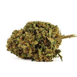 CBD Sweet Tooth (10,5%)