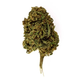 CBD Sweet Tooth (10,5%)