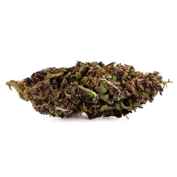 Purple Haze Indoor CBD Flower (19,7%)