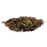 Purple Haze Indoor CBD Flower (19,7%)