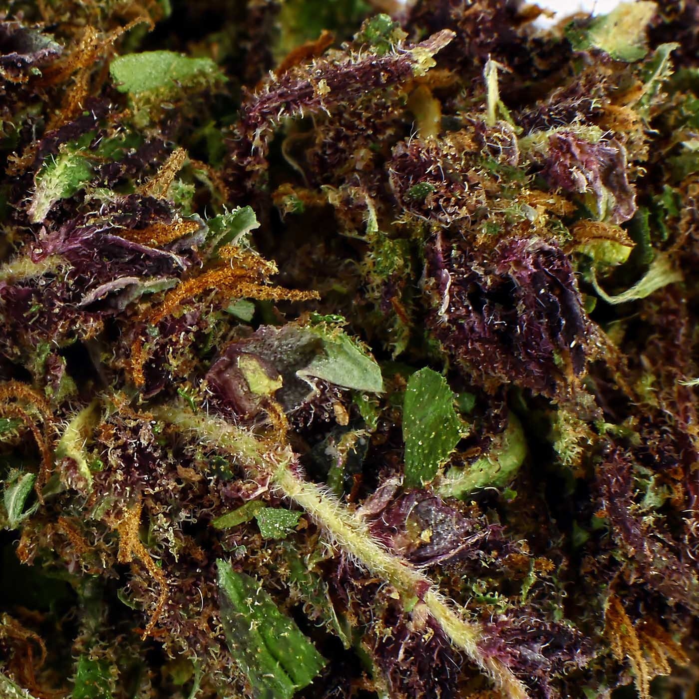 Purple Haze CBD Flower Indoor 19.7% | Grape & Citrus | 321CBD