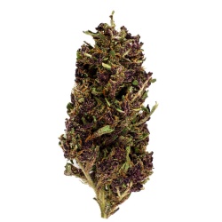 Purple Haze Indoor CBD Flower (19,7%)