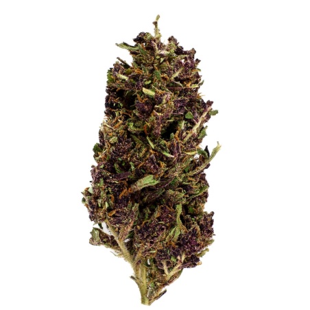 Purple Haze Indoor CBD Flower (19,7%)