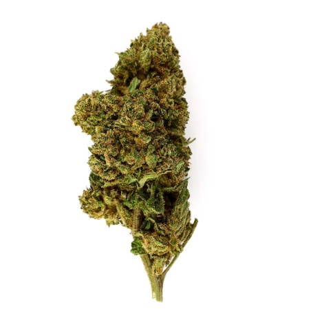 Fleur CBD Mango Haze (16,9%)