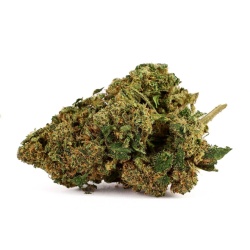 Fleur de CBD Pineapple Express Greenhouse (14,9%)