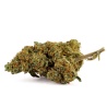 CBD-Blüte Banana Kush Indoor (12%)