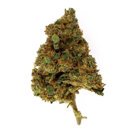 Fleur de CBD Banana Kush Indoor (12%)